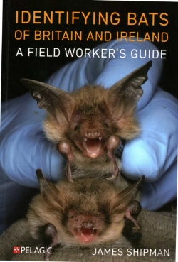 Bertrand.pt - Identifying Bats Of Britain And Ireland