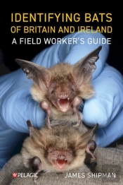 Identifying Bats Of Britain And Ireland