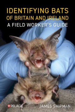Bertrand.pt - Identifying Bats Of Britain And Ireland
