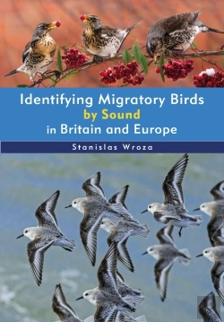 Bertrand.pt - Identifying Migratory Birds By Sound In Britain And Europe
