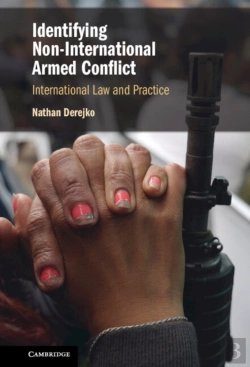 Bertrand.pt - Identifying Non-International Armed Conflict
