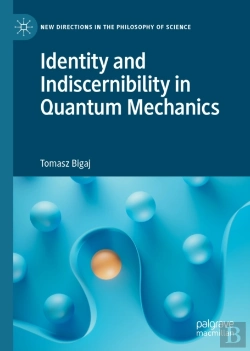 Bertrand.pt - Identity And Indiscernibility In Quantum Mechanics