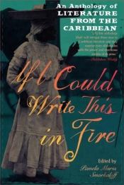 If I Could Write This In Fire
