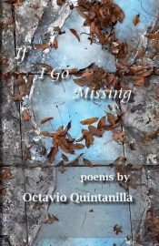 If I Go Missing