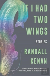 If I Had Two Wings 8211 Stories