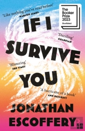 If I Survive You