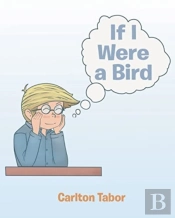 If I Were A Bird: A Child'S Fantasy In V