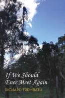 If We Should Ever Meet Again