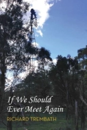 If We Should Ever Meet Again