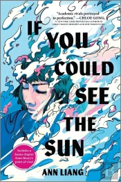 If You Could See The Sun