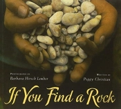 If You Find A Rock