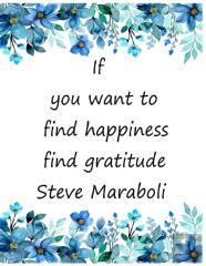 If You Want To Find Happiness Find Gratitude  Steve Maraboli