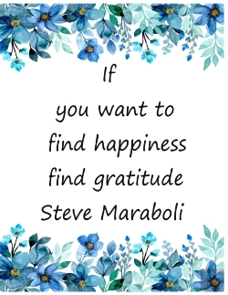 Bertrand.pt - If You Want To Find Happiness Find Gratitude  Steve Maraboli