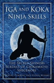 Iga And Koka Ninja Skills