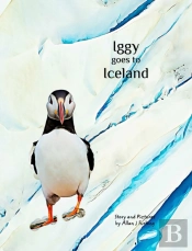 Iggy Goes To Iceland