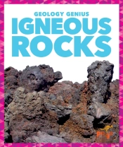Igneous Rocks