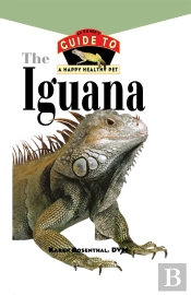 Iguana