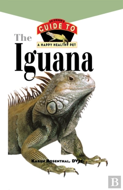 Bertrand.pt - Iguana