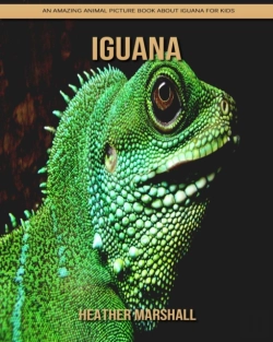 Bertrand.pt - Iguana