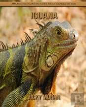 Iguana