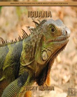 Bertrand.pt - Iguana