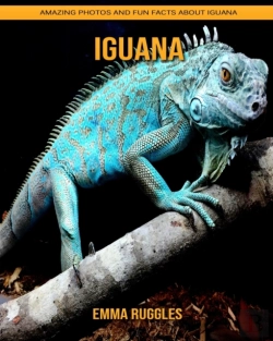 Bertrand.pt - Iguana