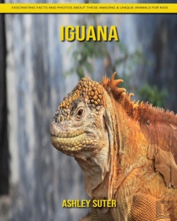 Bertrand.pt - Iguana