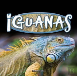 Bertrand.pt - Iguanas