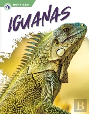 Iguanas