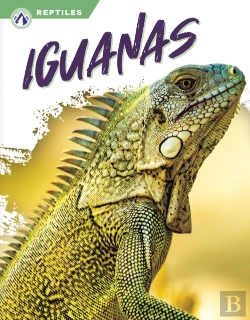 Bertrand.pt - Iguanas