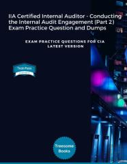 Iia Certified Internal Auditor - Conducting The Internal Audit Engagement (Part 2) Exam Practice Question And Dumps