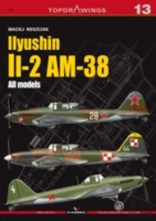 Iiyushin Ii-2 Am-8