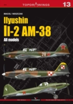 Bertrand.pt - Iiyushin Ii-2 Am-8