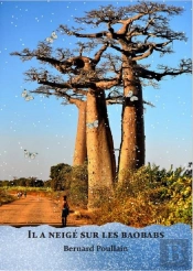 Il A Neige Sur Les Baobabs