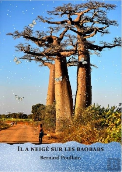 Bertrand.pt - Il A Neige Sur Les Baobabs