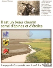 Il Est Un Beau Chemin Semé D'Épines Et D'Étoiles