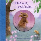 Il Fait Nuit Petit Lapin...