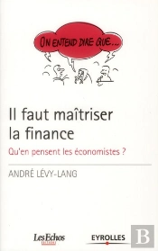 Il Faut Maitriser La Finance - Qu'En Pensent Les Economistes?
