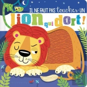 Il Ne Faut Pas Toucher : Un Lion Qui Dort !