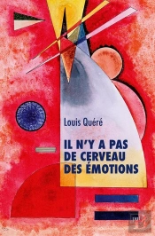 Il N'Y A Pas De Cerveau Des Emotions