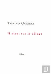 Il Pleut Sur Le Deluge