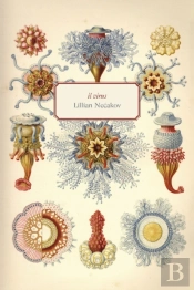 Il Virus
