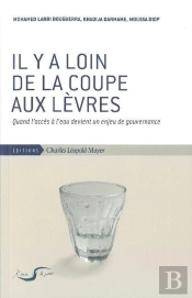 Il Y A Loin De La Coupe Aux Lèvres ; Quand L'Accès À L'Eau Devient Un Enjeu De Gouvernance