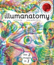 Illumanatomy