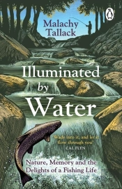 Illuminated By Water