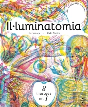 Il·Luminatomia