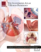 Illustrated Atlas Of Human Pathology