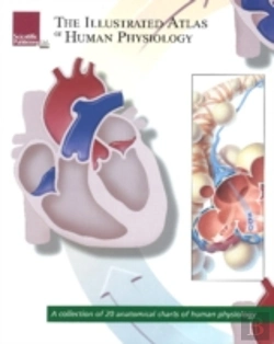 Bertrand.pt - Illustrated Atlas Of Human Physiology