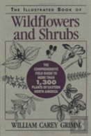 Illustrated Book Of Wildflowers And Shrubs