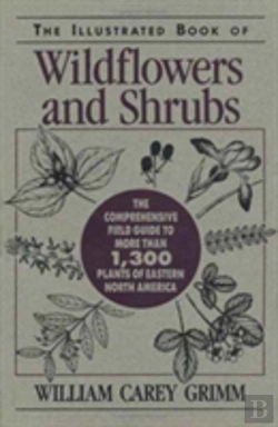 Bertrand.pt - Illustrated Book Of Wildflowers And Shrubs